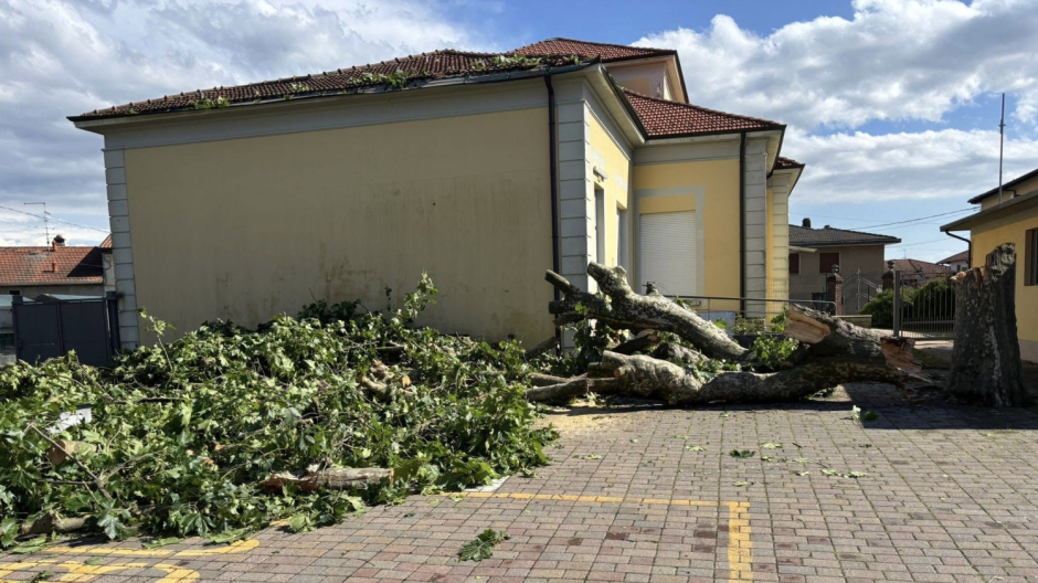 Divignano, albero caduto per il temporale. Intervento dei volontari Aib
